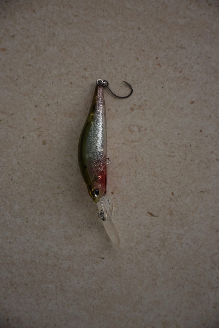 Lot De 50 Cuillères Assorties - Leurres De Pêche Métal 2,75'' - Seasky - Neuf